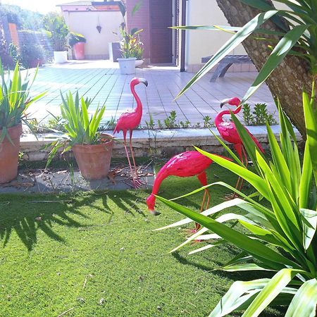 Appartement Casa Giardino à San Benedetto del Tronto Extérieur photo